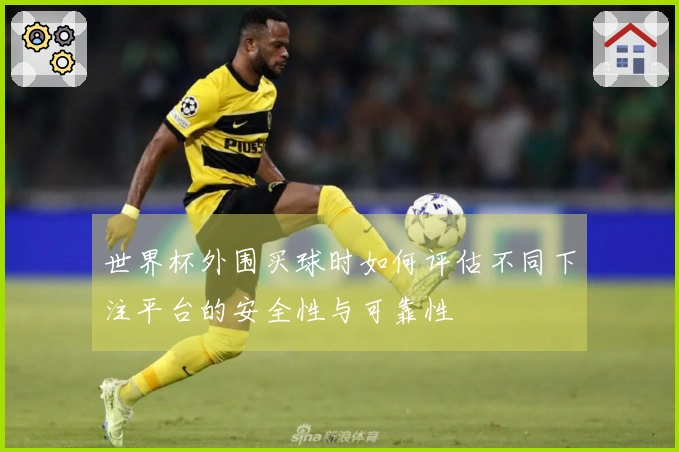 世界杯外围买球时如何评估不同下注平台的安全性与可靠性